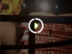 機器人夜戰工作中